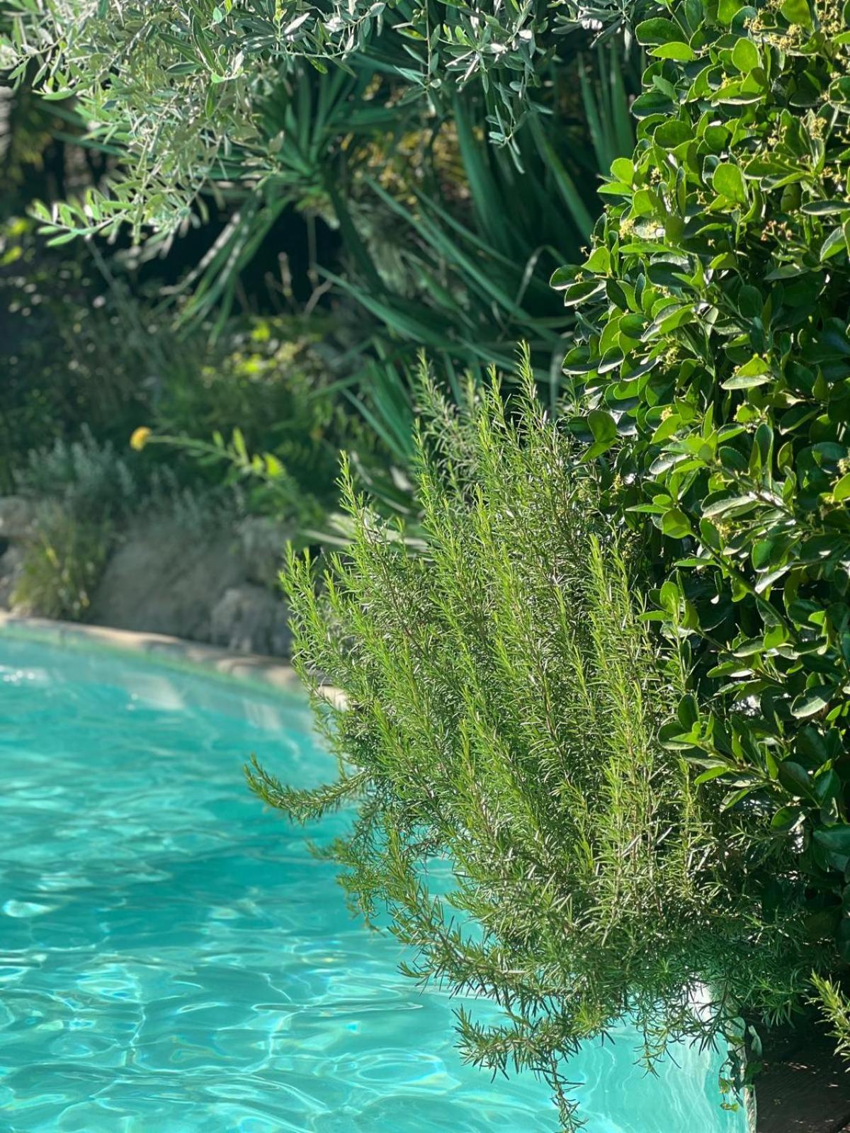 La Bastide De Canaules 外观 照片